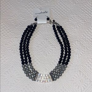 Charming Charlie Necklace and Earrings Set